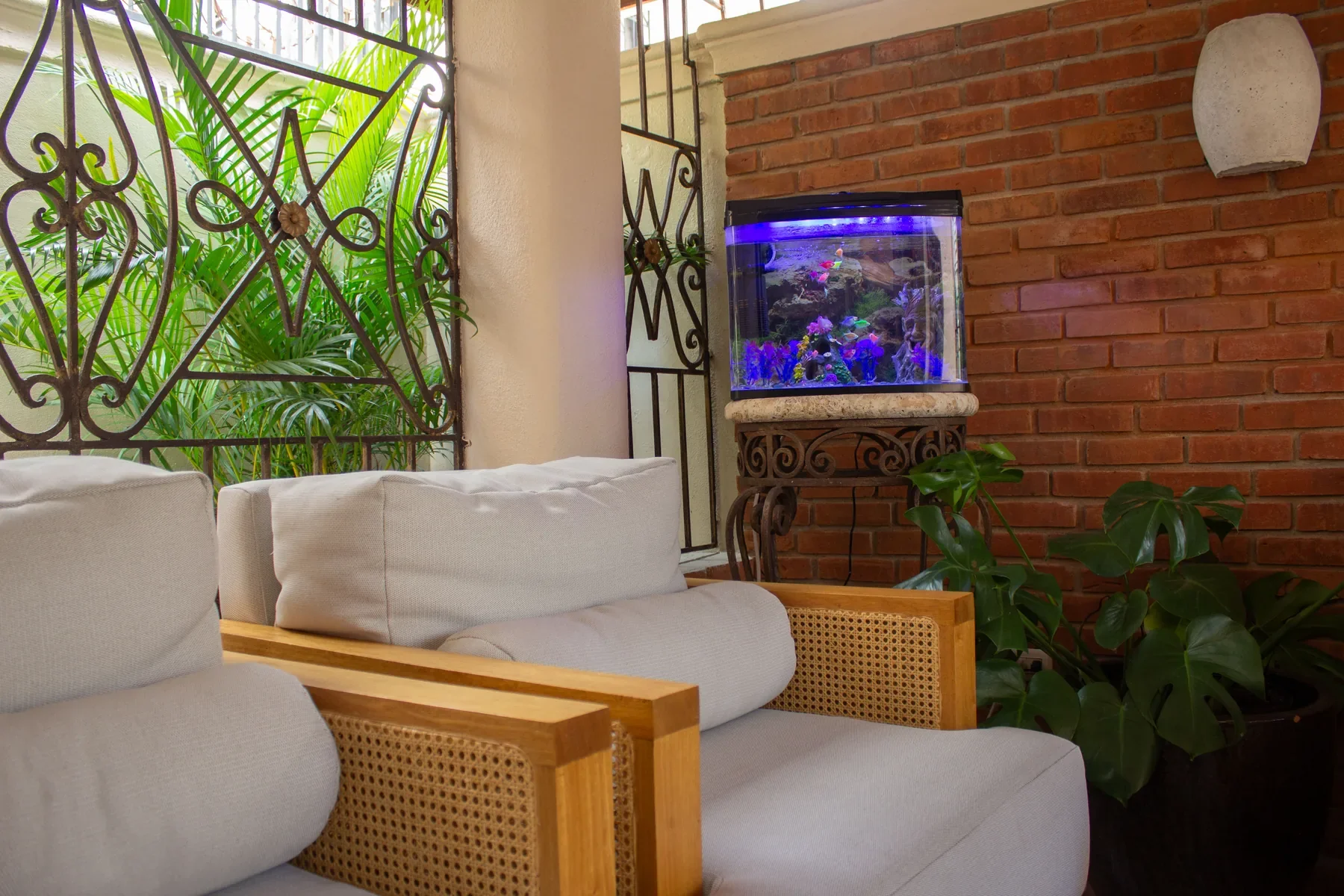Patio exterior del Proyecto Esencia en Las Praderas